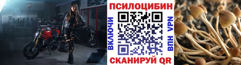 Псилоцибиновые грибы Psilocybine cubensis  купить наркоту  Северо-Курильск 
